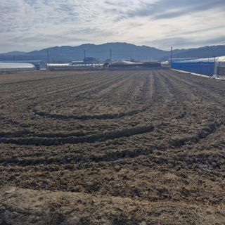 김홍례님의 기타작물 · 영농일지 작성글 사진