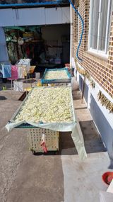 팜모닝 기타작물·영농일지 게시글 이미지