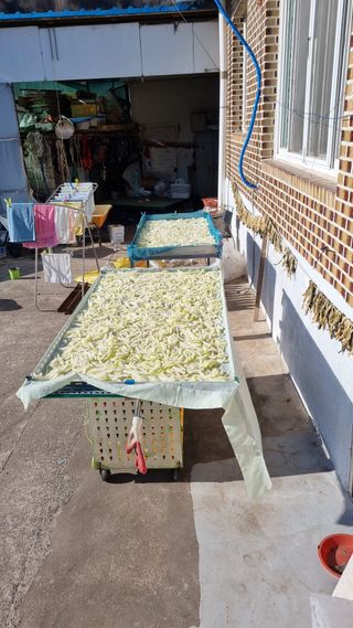 김동명님의 기타작물 · 영농일지 작성글 사진