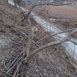 팜모닝 기타작물·영농일지 게시글 이미지