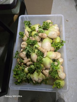 소병찬님의 기타작물 · 영농일지 작성글 사진