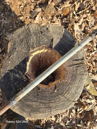 소병찬님의 기타작물 · 영농일지 작성글 사진