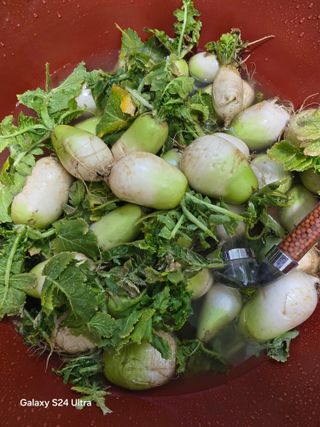 소병찬님의 기타작물 · 영농일지 작성글 사진