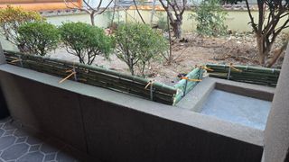 대박농장신초시님의 기타작물 · 영농일지 작성글 사진