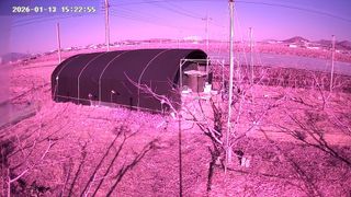 꿀복이농장님의 복숭아 · 영농일지 작성글 사진