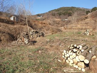 김순곤님의 기타작물 · 영농일지 작성글 사진