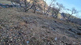 김동명님의 기타작물 · 영농일지 작성글 사진