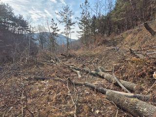 황매산신령님의 기타작물 · 영농일지 작성글 사진