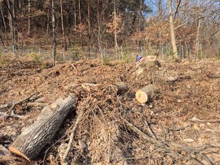 황매산신령님의 기타작물 · 영농일지 작성글 사진