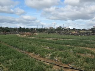 낙엽교목류22209님의 파 · 영농일지 작성글 사진