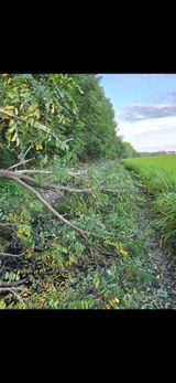 팜모닝 벼·영농일지 게시글 이미지