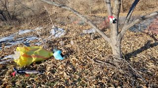 김동명님의 기타작물 · 영농일지 작성글 사진