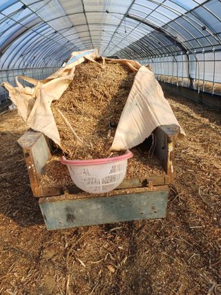 전원수님의 토마토 · 영농일지 작성글 사진