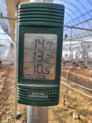 4799님의 포도 · 영농일지 작성글 사진