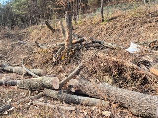 황매산신령님의 기타작물 · 영농일지 작성글 사진