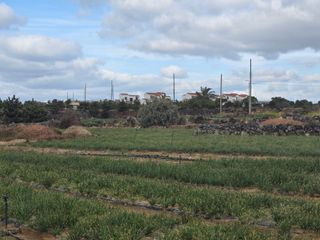 낙엽교목류22209님의 파 · 영농일지 작성글 사진