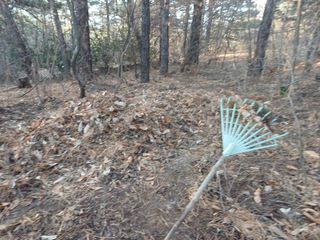 전원수님의 토마토 · 영농일지 작성글 사진