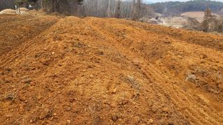 양석원님의 두릅 · 영농일지 작성글 사진