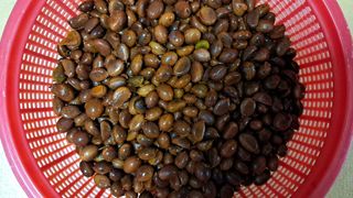 이정운님의 기타작물 · 영농일지 작성글 사진