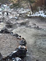 팜모닝 기타작물·영농일지 게시글 이미지