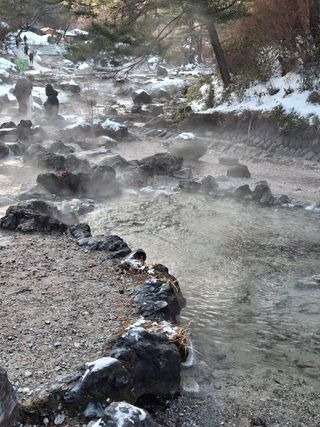 김철우님의 기타작물 · 영농일지 작성글 사진