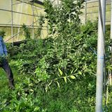 설용걸님의 작성글 사진