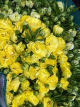 곰근이네흙밭님의 작성글 사진