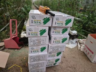 늘햇살팜 님의 기타작물 · 영농일지 작성글 사진