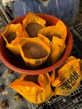 팜모닝 기타작물·영농일지 게시글 이미지