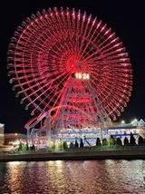 팜모닝 기타작물·영농일지 게시글 이미지