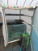 팜모닝 고추·영농일지 게시글 이미지