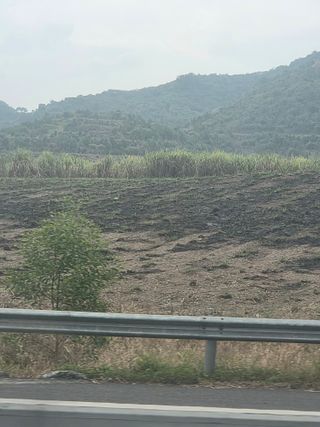 최동수님의 기타작물 · 영농일지 작성글 사진