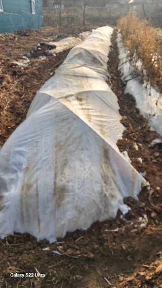 28 268 HQ님의 기타작물 · 영농일지 작성글 사진