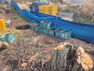 최진일님의 감 · 영농일지 작성글 사진