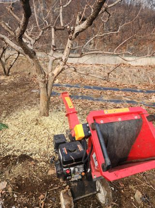 대운농원님의 기타작물 · 영농일지 작성글 사진