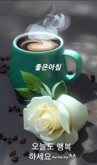 논산푸른팜님의 고추 · 영농일지 작성글 사진