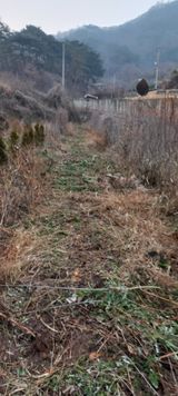 팜모닝 기타작물·영농일지 게시글 이미지