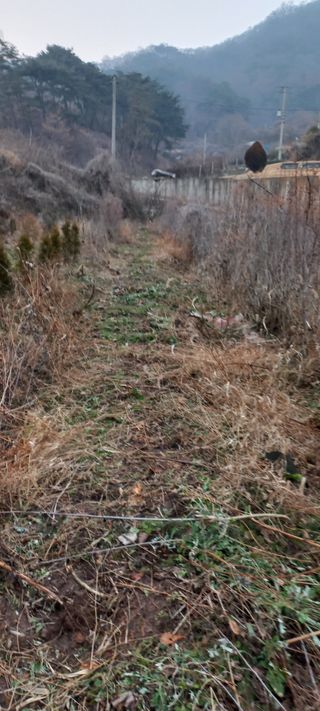 정석채님의 기타작물 · 영농일지 작성글 사진