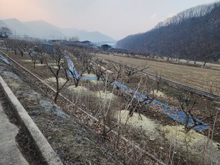 대운농원님의 기타작물 · 영농일지 작성글 사진