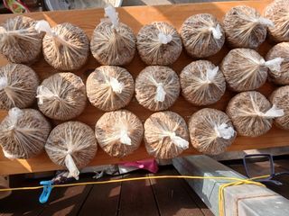 최남옥님의 기타작물 · 영농일지 작성글 사진