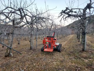 강대욱님의 사과 · 영농일지 작성글 사진