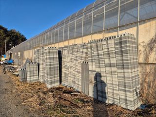 늘햇살팜 님의 기타작물 · 영농일지 작성글 사진