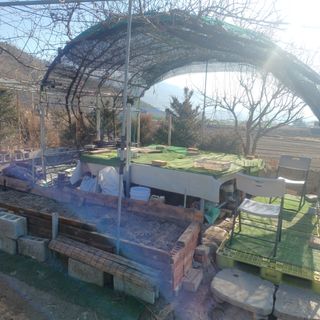 正覺님의 기타작물 · 영농일지 작성글 사진