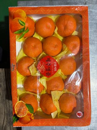 님의 귤 · 영농일지 작성글 사진