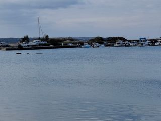김철우님의 기타작물 · 영농일지 작성글 사진