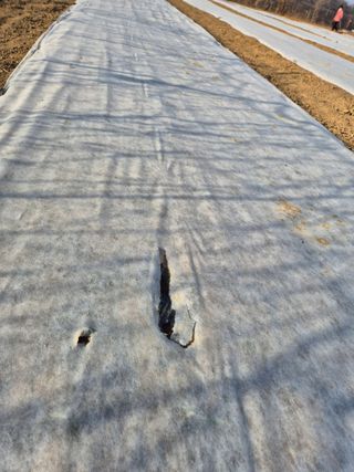 장재갑님의 마늘 · 영농일지 작성글 사진