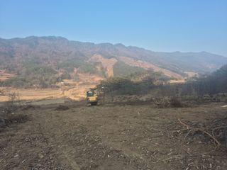 선암농군님의 두릅 · 영농일지 작성글 사진