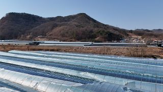 서대산향수님의 포도 · 영농일지 작성글 사진