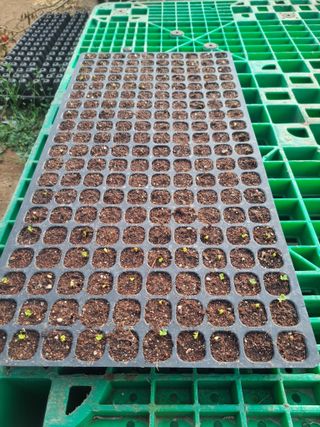 한림한경님의 기타작물 · 영농일지 작성글 사진