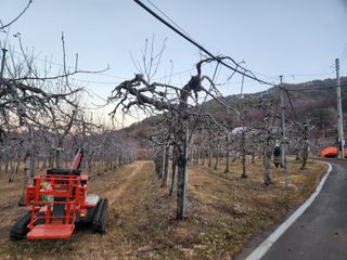 강대욱님의 사과 · 영농일지 작성글 사진